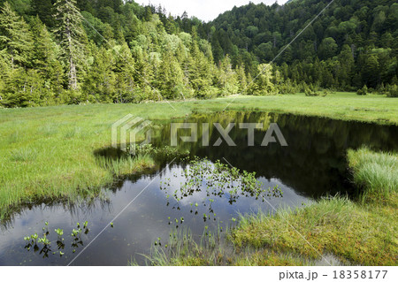 尾瀬　白砂田代 18358177