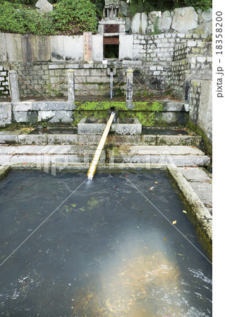 唐櫃の清水 18358200