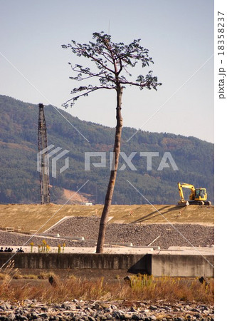 奇跡の一本松(陸前高田市 ) 奇跡の一本松(陸前高田市 ) 18358237
