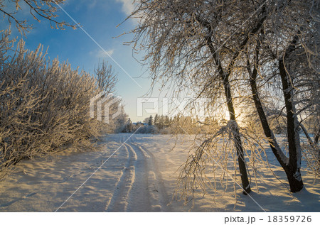 trees covered with hoarfrost against the blue sky 18359726