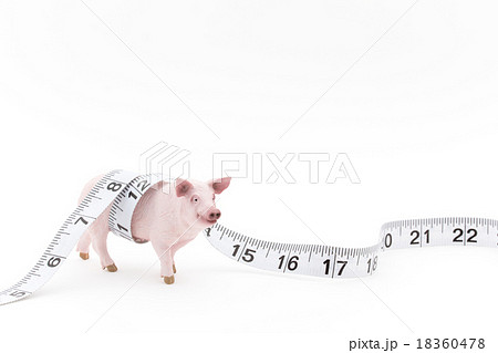 ブタのおもちゃ ブタのおもちゃ 18360478