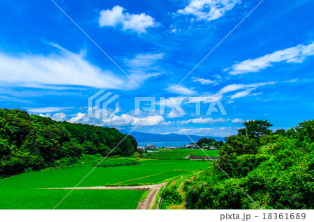 雲仙グリーンロードからの田園風景 熊本を望む 雲仙グリーンロードからの田園風景 熊本を望む 18361689