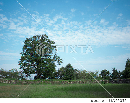 松坂城跡 18362055