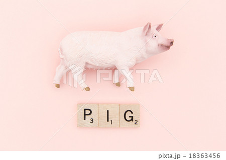 スクラブル文字:PIG スクラブル文字:PIG 18363456