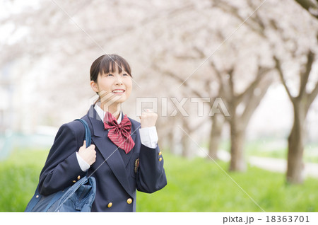 サクラと学生 18363701