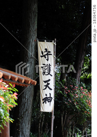 守護天神 守護天神 18364756