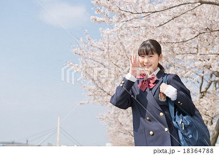 サクラと青空と学生 18364788