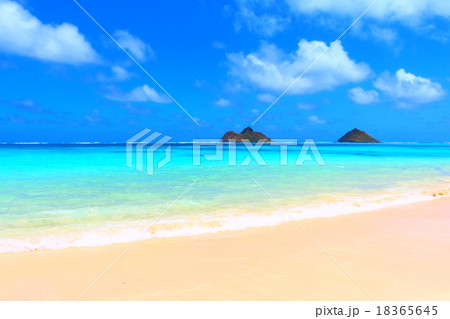 ラニカイビーチ 18365645