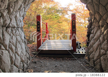 けさかけ橋(群馬県みどり市) けさかけ橋(群馬県みどり市) 18366122