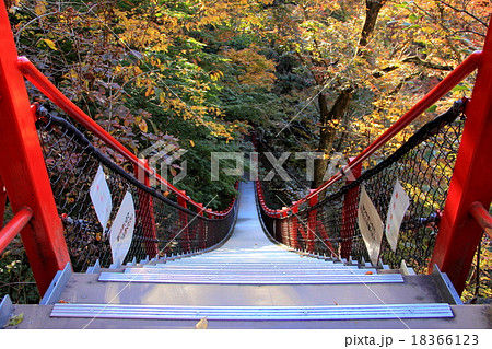 けさかけ橋（群馬県みどり市） 18366123