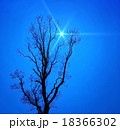 星空と木のシルエット 18366302