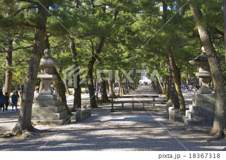 出雲大社参道 18367318
