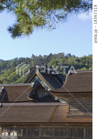 出雲大社本殿 出雲大社本殿 18367319