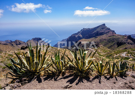 Landscape on the island Tenerife Landscape on the island Tenerife 18368288