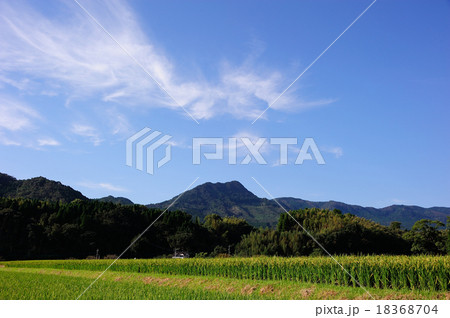秋の田園風景 18368704