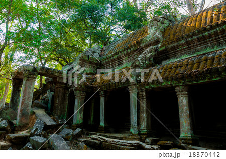 Stone temple Ta Prohm Stone temple Ta Prohm 18370442
