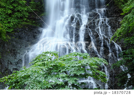 新緑の天滝 新緑の天滝 18370728
