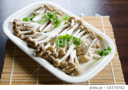 Mushroom 18370782