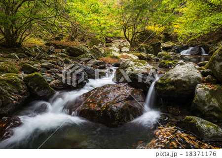 音水渓谷 18371176