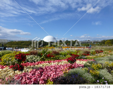 愛・地球博 18371718