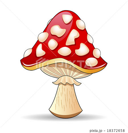 Mushroom Mushroom 18372658