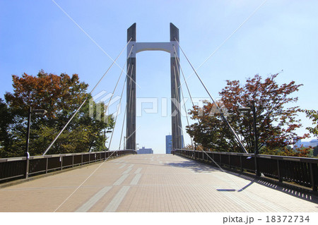 木場公園大橋 18372734