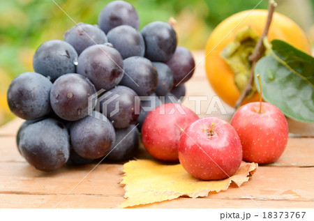 秋の果物 秋の果物 18373767