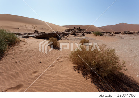 beautiful sunrise landscape of hidden Dead Vlei 18374796