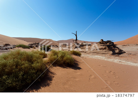 beautiful sunrise landscape of hidden Dead Vlei 18374797