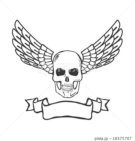 skull with wings isolated on white background 18375707