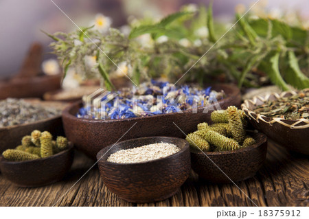 Fresh medicinal herbs on wooden background 18375912