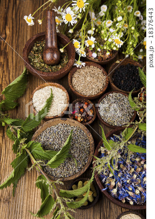 Fresh medicinal herbs on wooden background Fresh medicinal herbs on wooden background 18376443