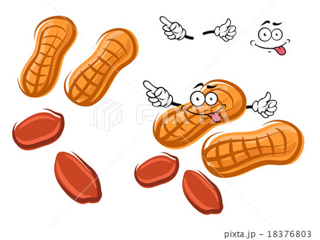 Cartoon brown peanut with shell and nuts 18376803