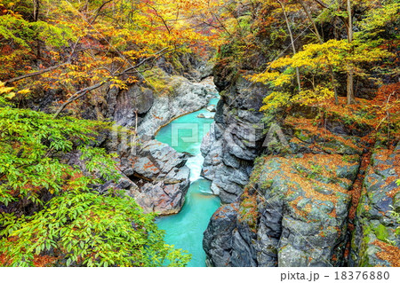 錦秋の吾妻峡 18376880