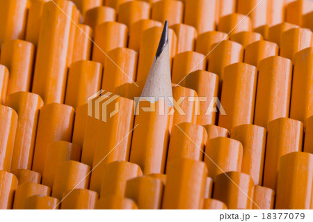 One sharpened pencil among many blunt 18377079