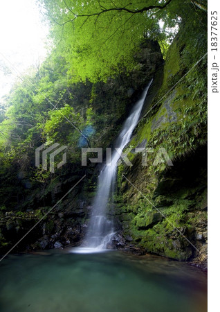 祖谷のかずら橋近くの琵琶の滝 祖谷のかずら橋近くの琵琶の滝 18377625