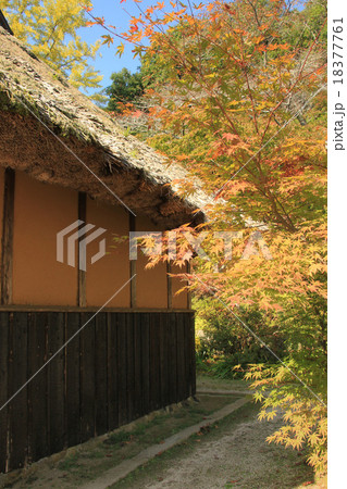 伊藤公記念公園 伊藤公生家 伊藤公記念公園 伊藤公生家 18377761