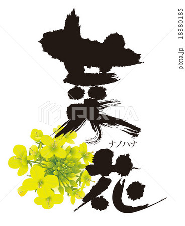 花 18380185