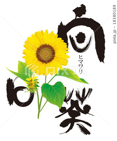 花 花 18380189