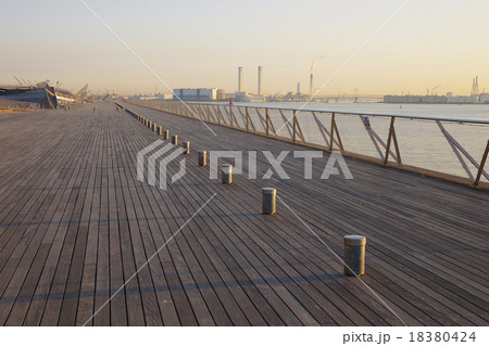 朝日を浴びる横浜港大桟橋屋上広場 18380424