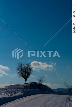 冬晴れの空とハートの木 冬晴れの空とハートの木 18381807
