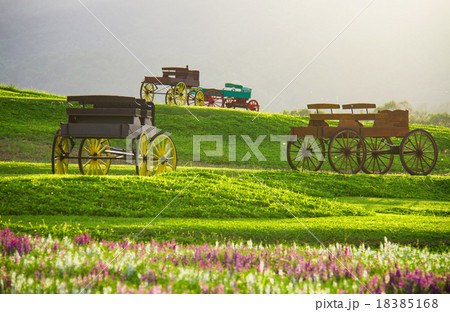 Beautiful landscape Historic carriage  18385168