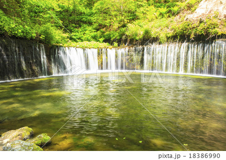 長野県軽井沢町　初夏の白糸の滝 18386990