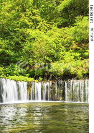 長野県軽井沢町　初夏の白糸の滝 18386991