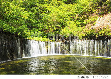 長野県軽井沢町 初夏の白糸の滝 長野県軽井沢町 初夏の白糸の滝 18386992