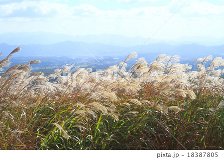 鬼女台201510257d11 18387805