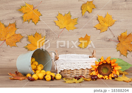 Autumn composition Autumn composition 18388204