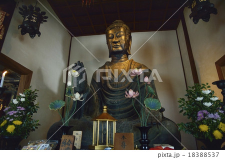 飛鳥大仏 飛鳥寺 18388537