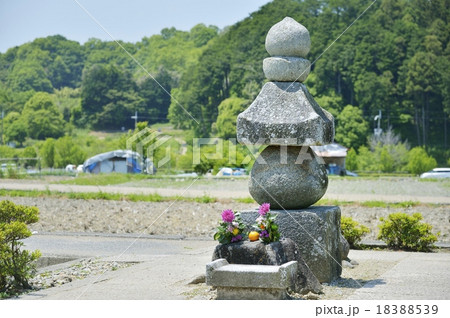 蘇我入鹿首塚 18388539