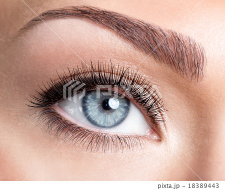 Beauty female eye with curl long false eyelashes 18389443
